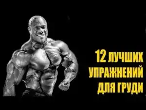 YT-video