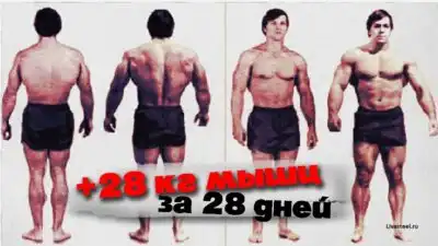 YT-video