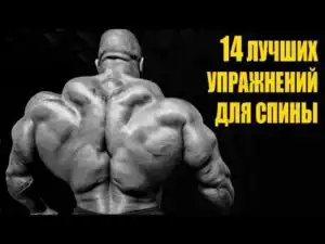 YT-video
