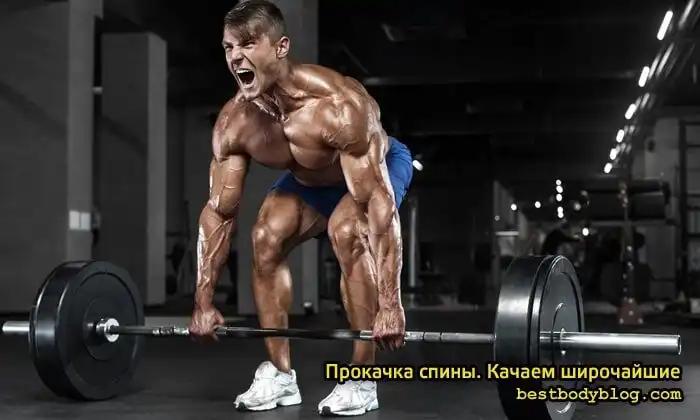 Прокачка спины. Качаем широчайшие Прокачка спины. Качаем широчайшие