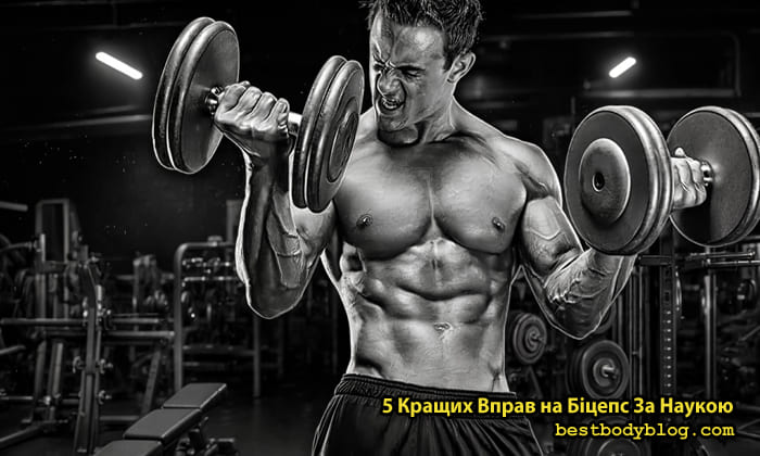 5 кращих вправ на біцепс з наукової точки зору, тренування рук у залі