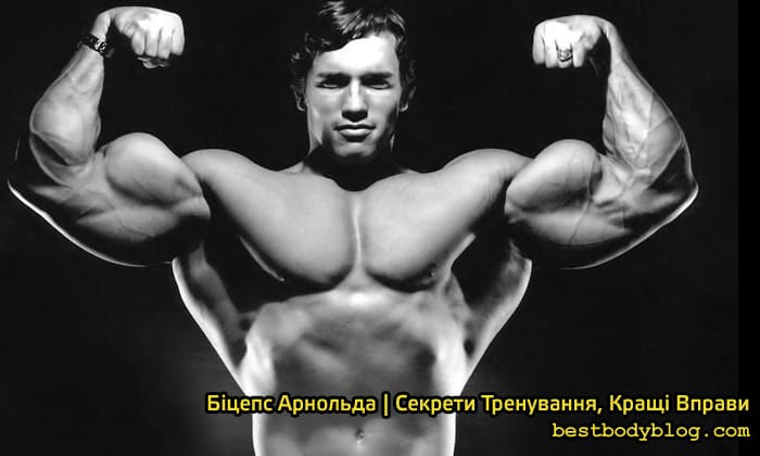 8 порад Арнольда по тренуванню біцепса